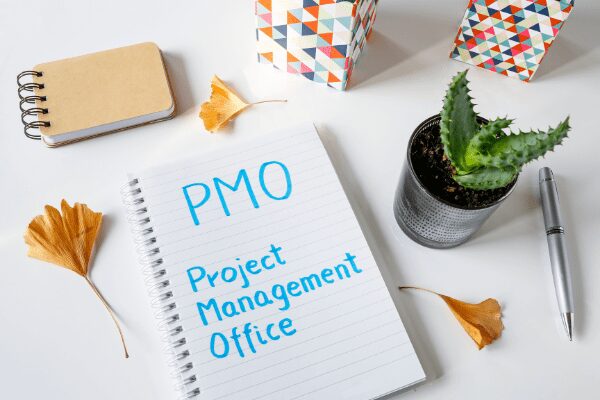 Agiles PMO - So lassen sich agile Projekte zielsicher steuern